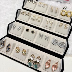 Earrings (Daily Wear)